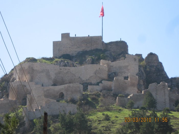 Image IMG_0072.JPG