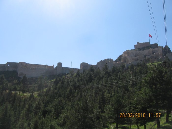 Image IMG_0073.JPG