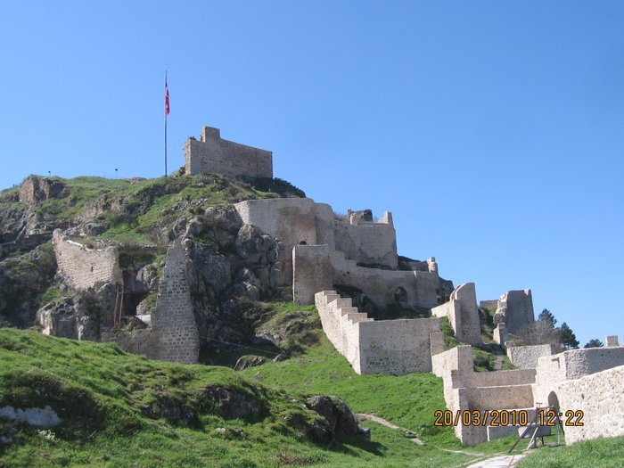 Image IMG_0089.JPG