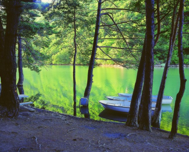 Image 2458.jpg